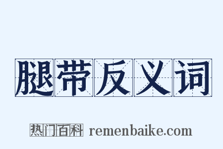 腿带反义词是什么意思的图片